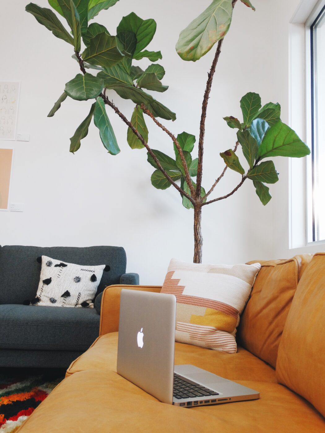 MacBook sitting on orange couch with green plant near